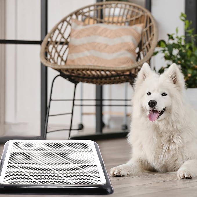 Mifoci Dog Pee Pad Holder Potty Tray Portable Dog Litter Box Toilet Training for Indoor Outdoor Small Medium Large Pet Puppy (1 Pcs)