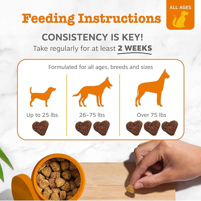 Zesty Paws Probiotics for Dogs, Digestive Enzymes Gut Flora, Digestive Health, Diarrhea & Bowel Support, DE111, Dog Probiotics Soft Chew for Pet Immune System, Chicken, 50 Ct (Pack of 2)