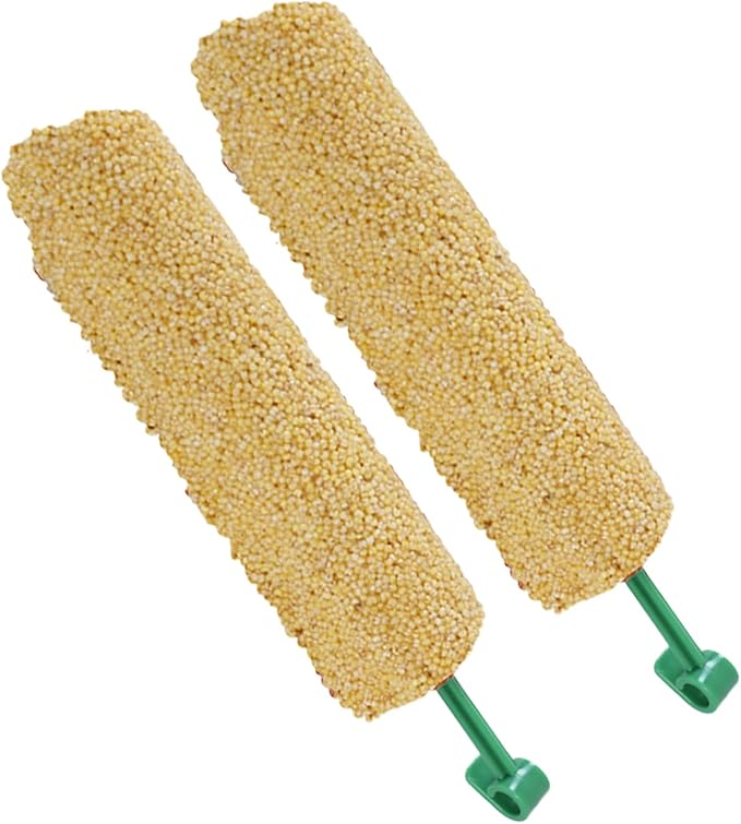 Bird Treat Sticks - Natural Foraging Snacks for Parakeets, Conures, Small Birds with Chewing and Training Benefits | 2-Piece Reward Food for Myna, Finch, Parrot, Fun and Healthy Bird Care