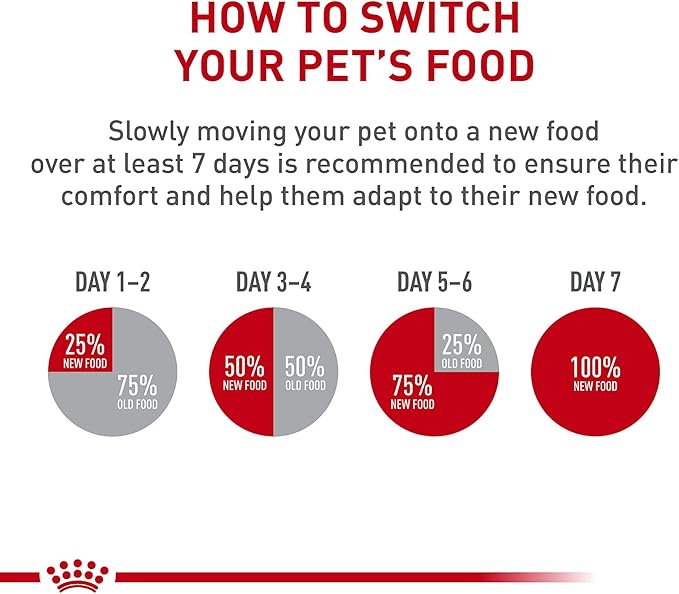 Royal Canin Feline Breed Nutrition Maine Coon Adult Thin Slices in Gravy Cat Food, 3 oz (Pack of 24)