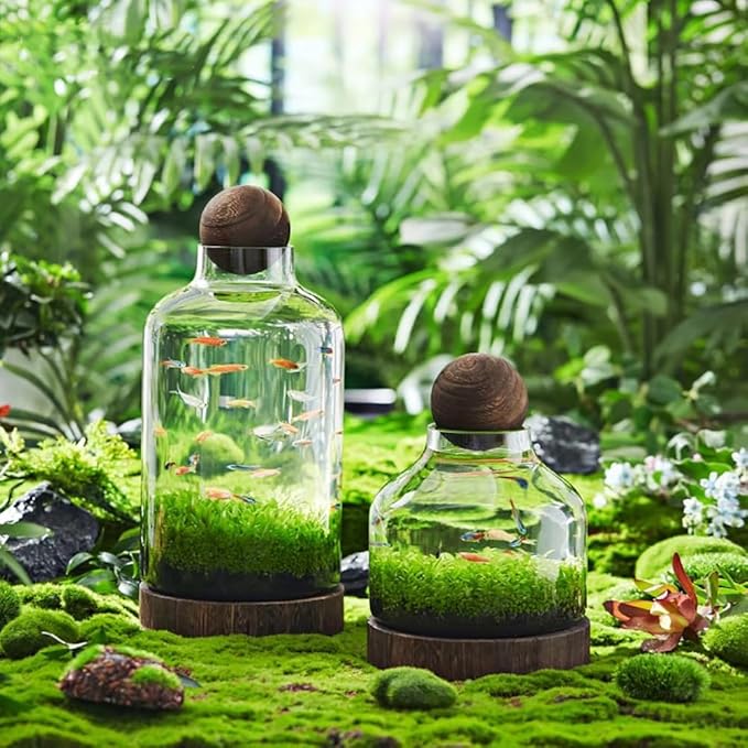 Glass Aquarium, Miniature Landscape Terrarium Glass Fish Tank with Wooden Base, Modern Betta Fish Tank, Small Aquarium for Home and Office Decoration,XL