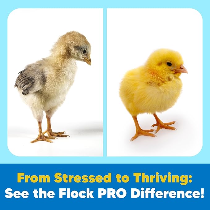 Flock PRO Chick Boost Probiotic - Probiotics, Vitamins, Minerals and Electrolytes for Chickens | Chicken Vitamins and Supplements for All Poultry - 3 oz