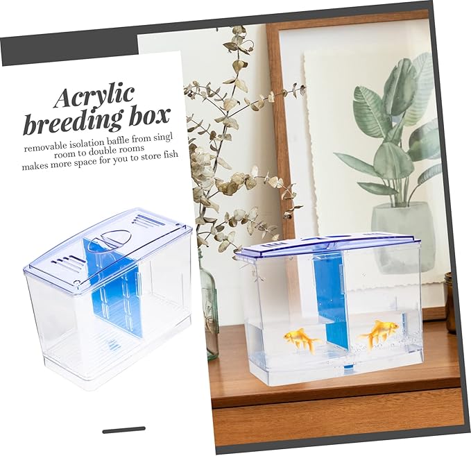 Fish Breeding Box Acrylic Isolation Hatchery Tank for Tropical Fish Guppies and Betta Fry Room Design with Removable Divider Easy to Clean and Install