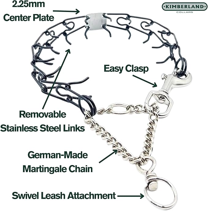 Clasp 2.25mm Stainless Dog Training Collar for Large Breeds | 16” Prong Collar for Dogs 26lbs & Up | No-Pull Collar | Behavior Aid | Seafoam Green