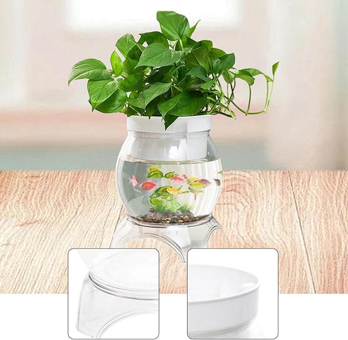 Desktop Fish Bowl Aquarium Hydroponic Planter Creative for Home Landscaping for Living Room with Stand Transparent 2 in 1, 23.5cmx31cm