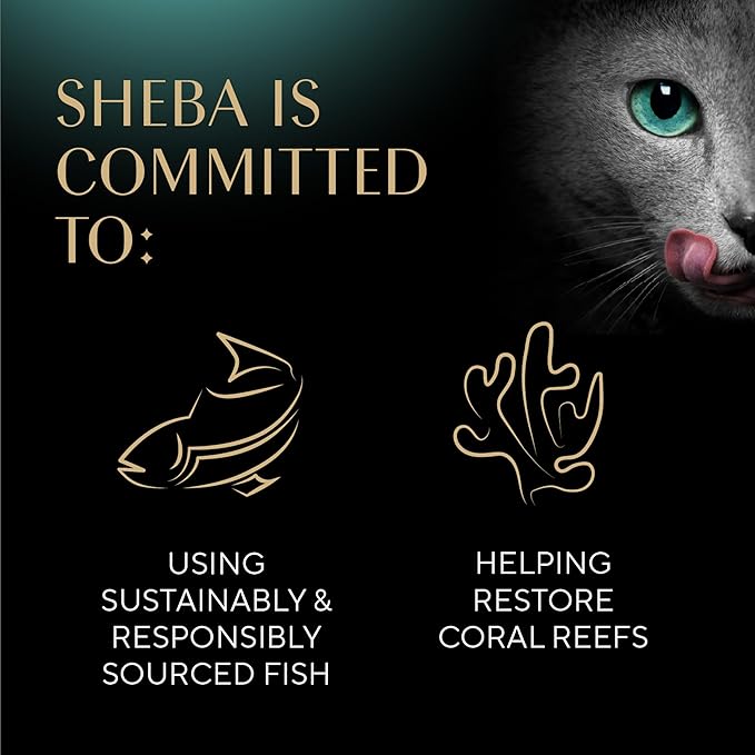 Sheba Perfect Portions Wet Cat Food Cuts in Gravy,Roasted Chicken Entree,with Sustainable Tuna,Tender Turkey Entree,2.6 oz. Twin-Pack Trays (,72 Servings),36 Count (Pack of 2)