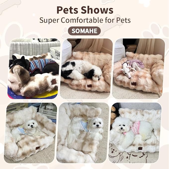 Cat Bed for Indoor Cats Dog Couch Cat Couch Bed Washable Dog Beds for Small Dogs & Cats with Removable Cover, Fluffy Pets Couch with Non-Slip Bottom 24"X18"X10"Beige