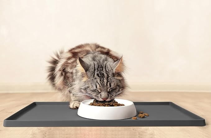 CatGuru Cat Food Mat, Small & Large Feeding Mats, 100% Waterproof Silicone Pet Placemat, Non-Slip Cat Food and Water Bowl or Water Fountain (Small, Carbon)