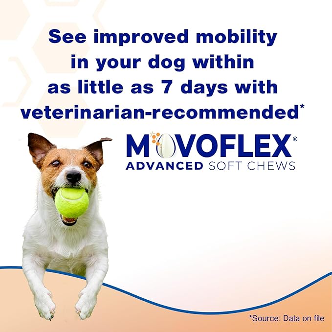 Advanced Soft Chews Hip and Joint Support Supplement for Medium Dogs - Movoflex 60 Count by Virbac