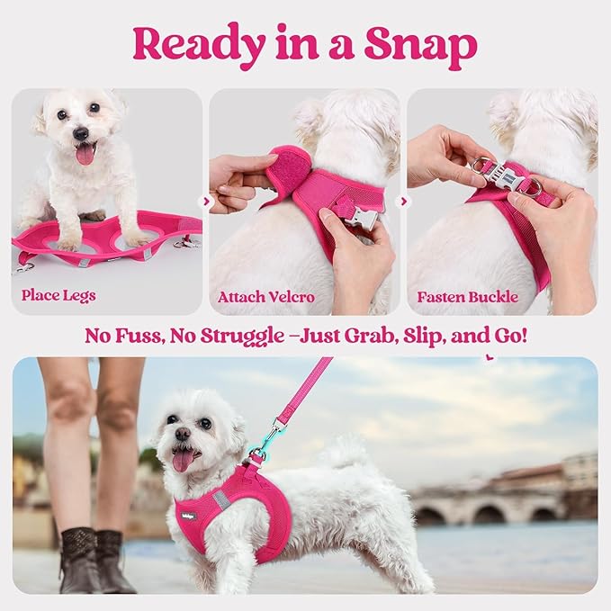 rabbitgoo Dog Harness Small Sized and Leash Set, Step in Soft Light Puppy Vest, Breathable Mesh Pet Harness, Reflective for Safe Easy Walking, Rose Red S