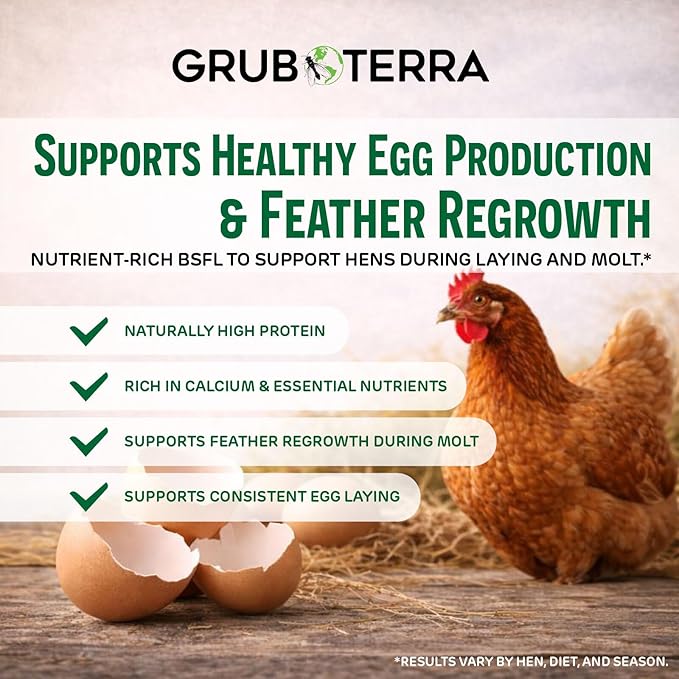 GrubTerra Black Soldier Fly Larvae for Chickens – Dried BSFL Poultry Treat, High Protein Calcium Feed Supplement for Laying Hens, Backyard Chickens, Sourced from Mexico, Not from China - 1LB