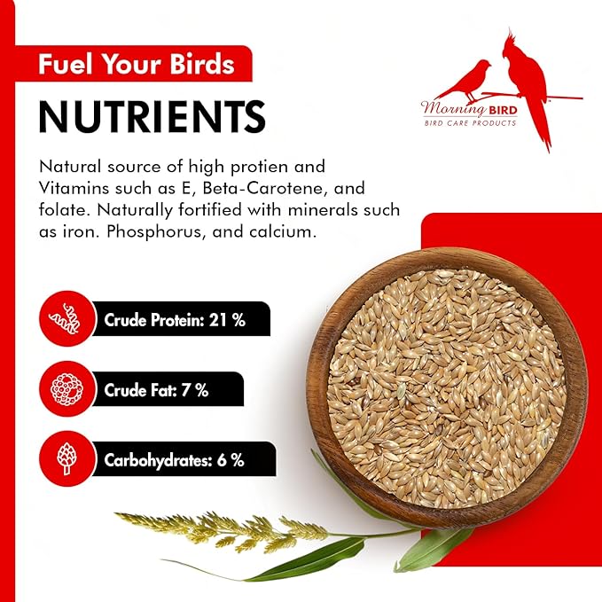 Morning Bird Canary Seed 18 lbs (2-Pack, 9 lbs Each), Nutrient-Rich Bird Seed, Creamy Golden Grain Powerhouse - Supports Healthy Feathers & Strong Bones – Natural Daily Nutrition for All Bird Types