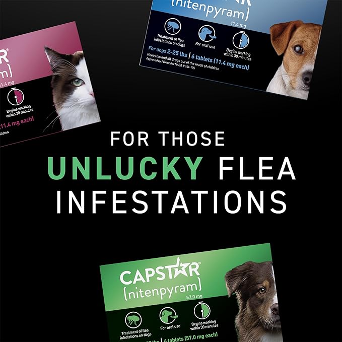 Capstar for Dogs (nitenpyram), Fast-Acting Oral Flea Treatment for Dogs Over 25+ lbs, Vet-Recommended Flea Medication Tablets Start Killing in 30 Minutes, 6 Doses