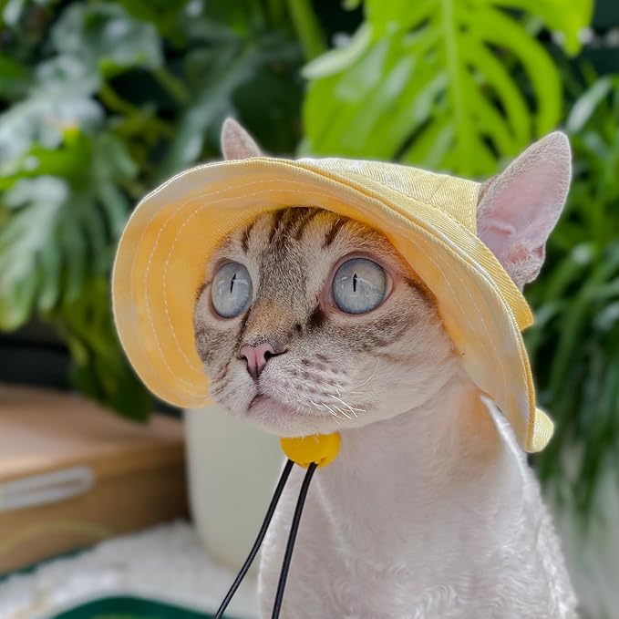 Pet hat with Ear Holes Sunscreen Baseball Cap Suitable for Small and Medium-Sized Dogs Outdoor Climbing hat in Summer Pet Products (Yellow, Medium)