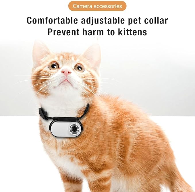 ASHATA Pet Collar Camera, HD 1080P Cat Camera Collar with Video Record (White)