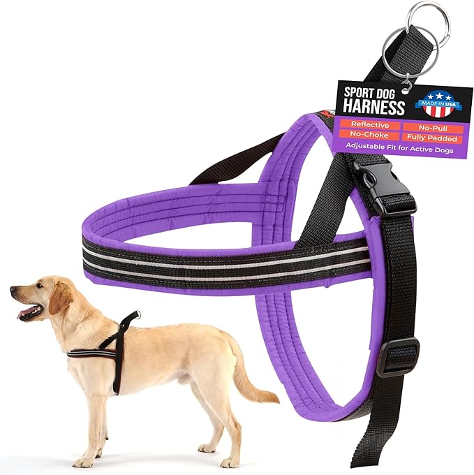 ComfortFlex Sport Dog Harness – No-Choke, Fully Padded, Non-Chafing Harness with Control Handle – Reflective, Lightweight, Adjustable for Active - XXLarge, Purple