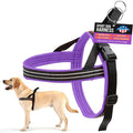 ComfortFlex Sport Dog Harness – No-Choke, Fully Padded, Non-Chafing Harness with Control Handle – Reflective, Lightweight, Adjustable for Active - XXLarge, Purple