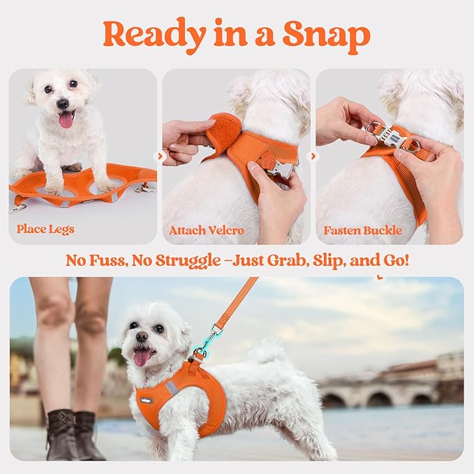 rabbitgoo Dog Harness Small Sized and Leash Set, Step in Soft Light Puppy Vest, Breathable Mesh Pet Harness, Reflective for Safe Easy Walking, Orange S