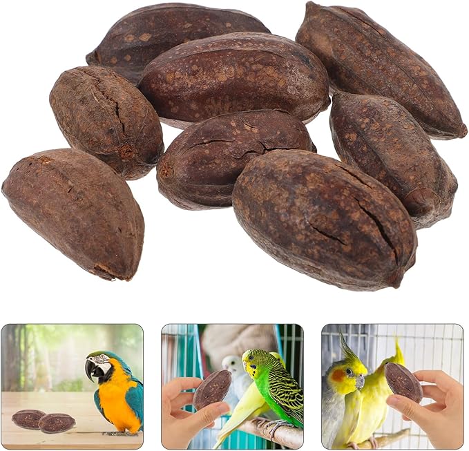 8pcs Natural Dried Fruit Parrot Chew for Budgie and Parakeet Foraging Accessories with Unique Shapes to Promote Healthy Beak and Mental Stimulation
