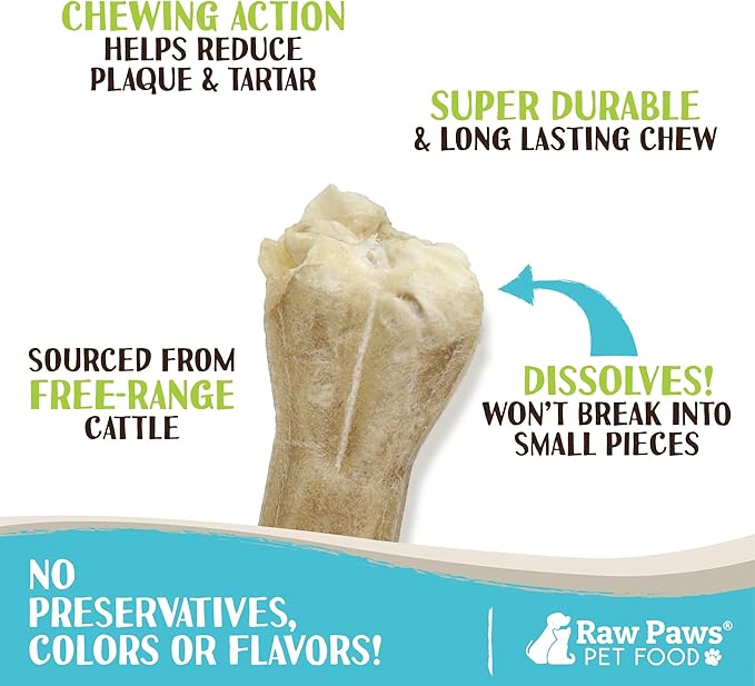 Raw Paws 10-inch Compressed Rawhide Bones for Dogs, 2-Count - Packed in USA - Long Lasting Dog Chews - Natural Pressed Rawhides - Large Dog Bones - Raw Hide for Aggressive Chewers