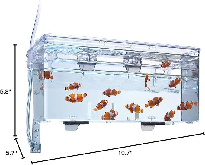 Fluval Multi-Chamber Holding and Breeding Box, Large – Up to 3 Separate Housing Compartments (Pack of 6)