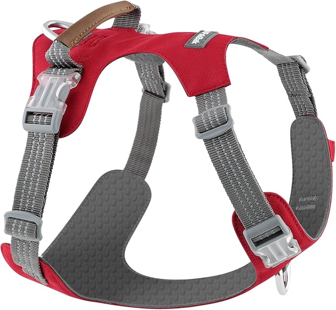 No Pull Dog Harness – Adjustable Reflective Nylon Vest for Small Medium Large Dogs, Escape Proof Training Harness with Leather Control Handle, Lightweight Aluminum Hardware (Red, M)