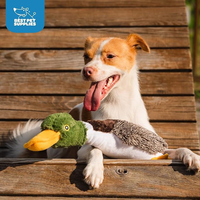 Best Pet Supplies Interactive Squeaky Dog Chew Toy, Ideal Dog Toys for Chewers, Small, Medium & Large Dogs, and Fetch Lovers - Mallard Duck (Brown), Small