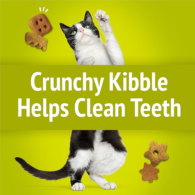 Purina Friskies Party Mix Morning Munch Crunch Cat Treats - (Pack of 10) 2.1 oz. Pouches