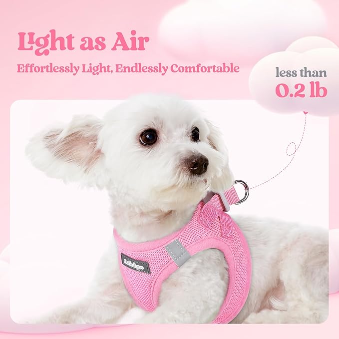 rabbitgoo Dog Harness Small Sized and Leash Set, Step in Soft Light Puppy Vest, Breathable Mesh Pet Harness, Reflective for Safe Easy Walking, Light Pink XXS