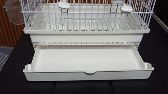 I064Z Chrome and White Song Bird CAGE