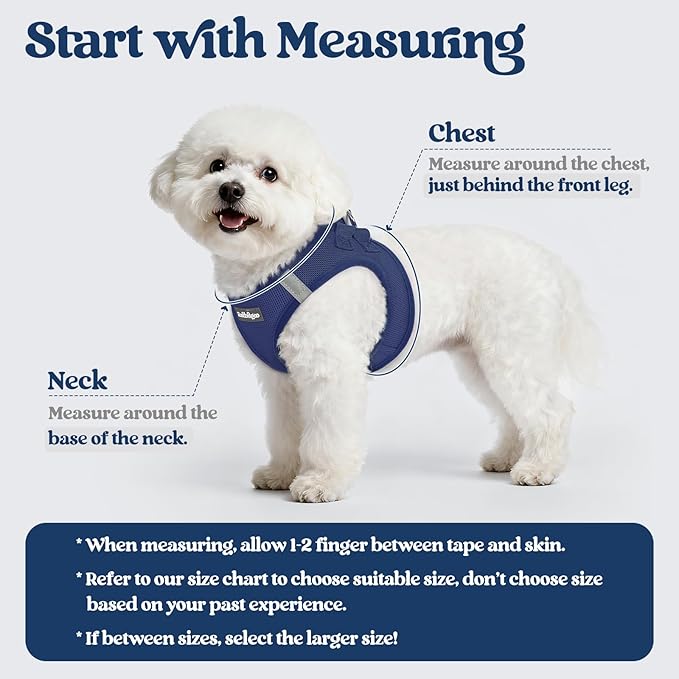 rabbitgoo Dog Harness Small Sized and Leash Set, Step in Soft Light Puppy Vest, Breathable Mesh Pet Harness, Reflective for Safe Outdoor Walking, Navy Blue XS