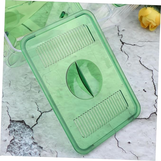 Self-Guided Fish Breeding Tank Isolation Box for Juvenile Fish Transparent Design for Easy Observation