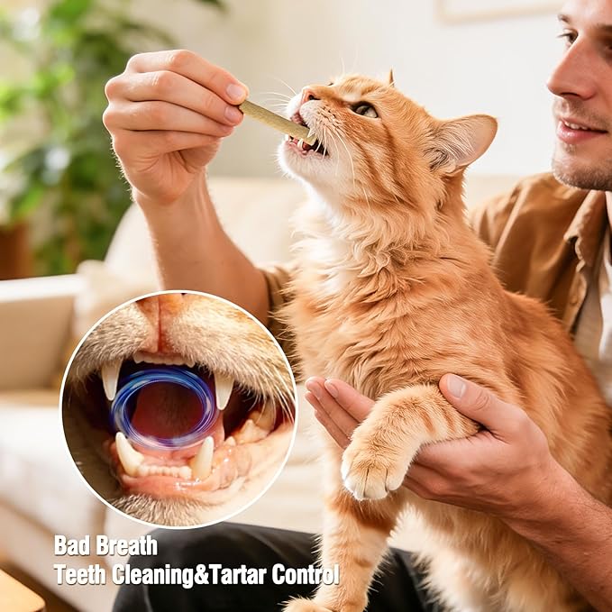 Freezed Dried Cat Teething Sticks, Cat Chew Stick for Dental Care, Salmon and Chicken Flavour Cats Treats, 1.7 oz Feline Freshens Breath Snacks