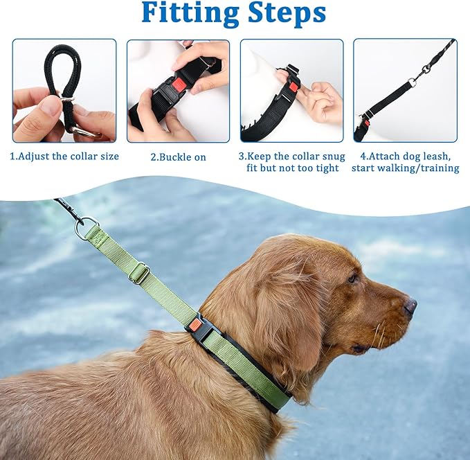 Mayerzon No Pull Dog Collar, Patented Martingale Collar for Small Medium Large Dogs with Buckle and Heavy Duty Nylon for Walking Training Hunting, Safe and Easy to Use(L, Green)
