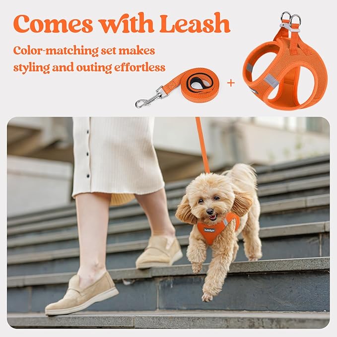rabbitgoo Dog Harness Small Sized and Leash Set, Step in Soft Light Puppy Vest, Breathable Mesh Pet Harness, Reflective for Safe Easy Walking, Orange M
