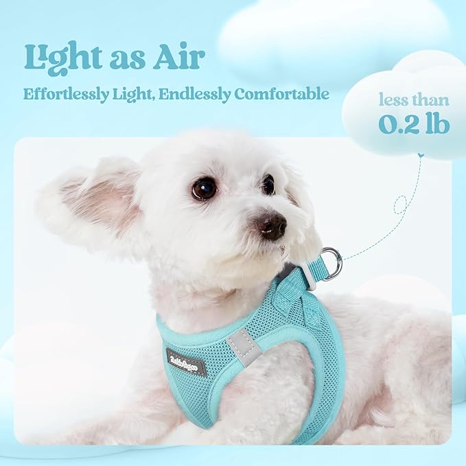 rabbitgoo Dog Harness Small Sized and Leash Set, Step in Soft Light Puppy Vest, Breathable Mesh Pet Harness, Reflective for Safe Easy Walking, Mint Blue XS