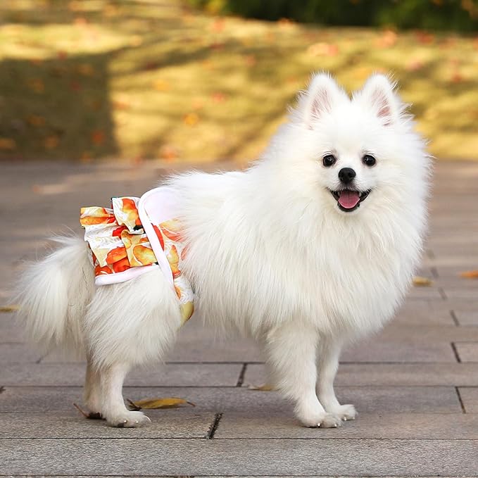 Dog Diapers Female Washable (3 Pack), Reusable Dog Period Diapers Female Doggie Diapers Puppy Diapers Female Dog Diapers for Heat, Incontinence, Excitable Urination,S