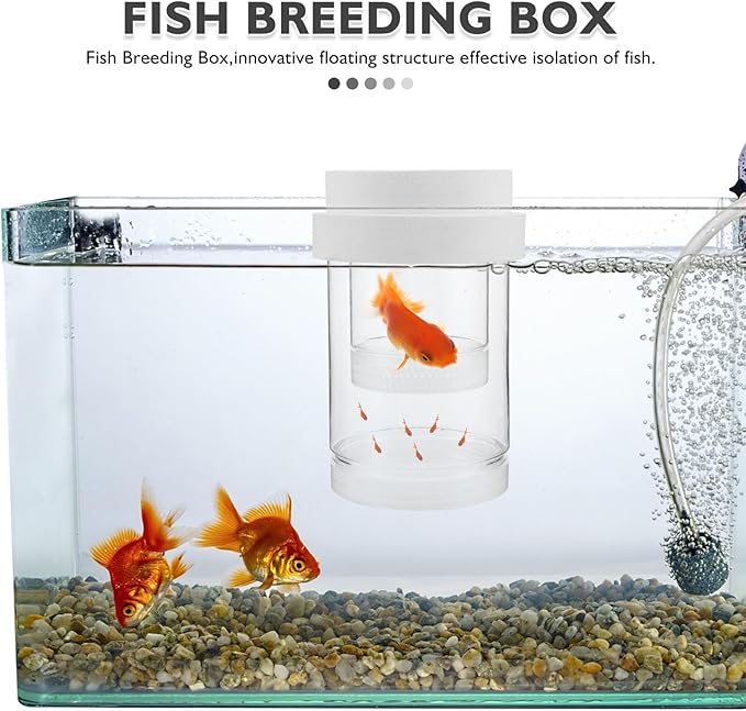 BESPORTBLE Aquarium Fish Breeding Box Floating Hatchery Incubator with Fine and Coarse Mesh Nets White Set for Guppy Betta Shrimp Nursery and Isolation in Fish Tanks