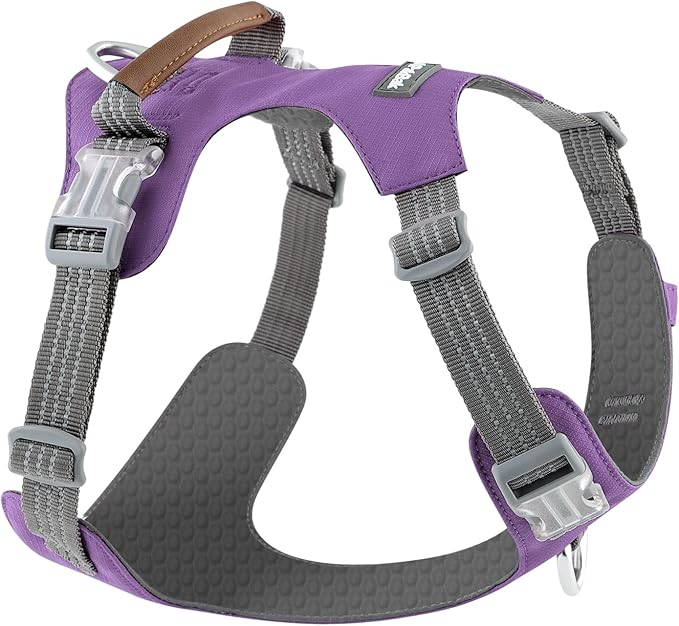 No Pull Dog Harness – Adjustable Reflective Nylon Vest for Small Medium Large Dogs, Escape Proof Training Harness with Leather Control Handle, Lightweight Aluminum Hardware (Purple, S)