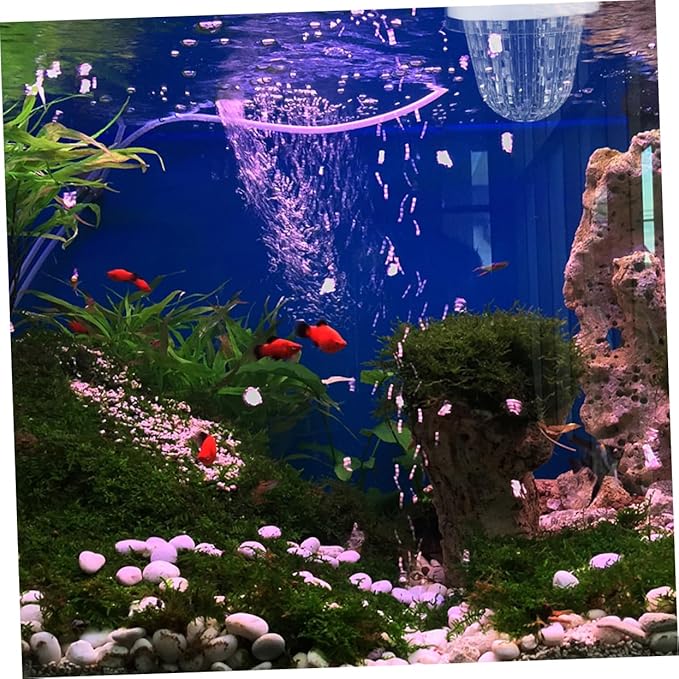 HEMOTON 2pcs Aquarium Fish Breeding Box Isolation Hatchery for Guppies Floating Design Easy Installation Versatile for Fish Tank
