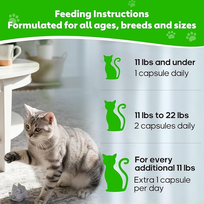 Hairball Relief for Cats, Cat Hairball Remedy, Cat Hairball Control with Psyllium Seed Husk and Vitamins, Helps Eliminate & Prevent Hairballs, Supports Healthy Digestion & Coat, 50 Capsules