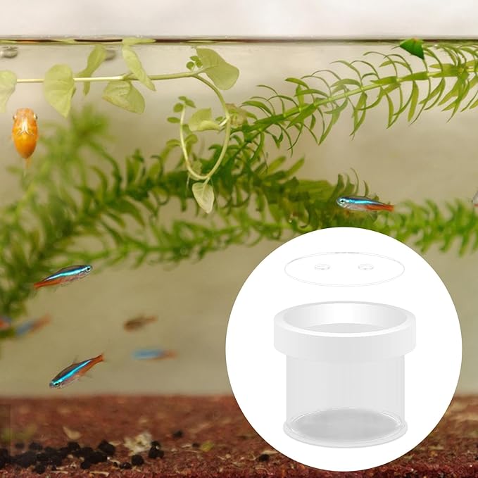 Fish Breeder Box Fish Tank Hatchery Floating Acrylic Transparent Fine Mesh Bottom Isolation Box Incubator for Baby Fish Betta, 12cmx10cm