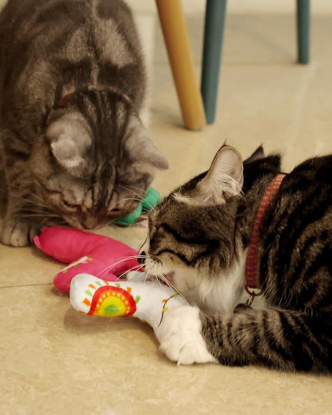 CiyvoLyeen Cactus Llama Catnip Toys 5Pcs Chew Interactive Toy for Cat Lover Cute Birthday Gift Indoor Kitty Bite Pet Supplies