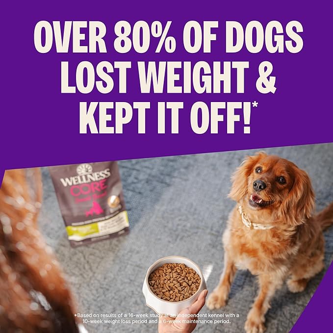 Wellness CORE Healthy Weight Small Breed Adult Dry Dog Food, Grain Free Kibble, Natural, High Protein, Turkey and Chicken Recipe, 12 lb Bag