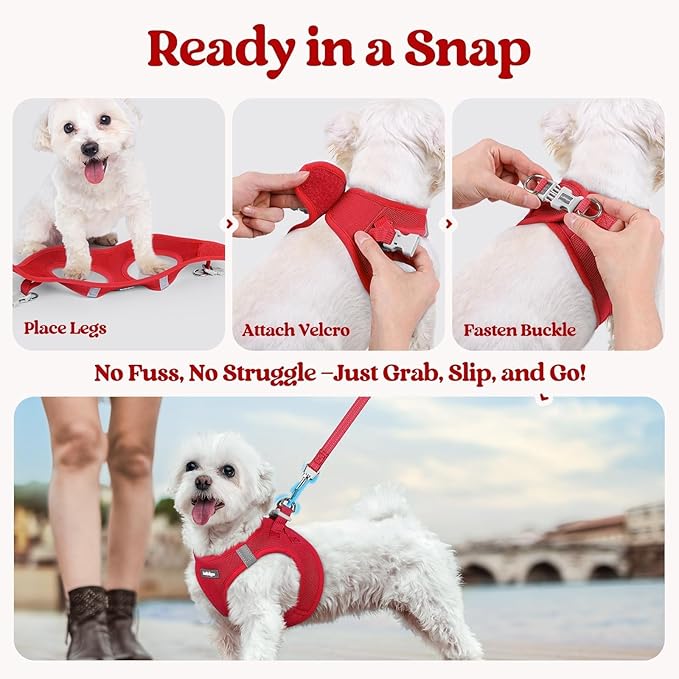 rabbitgoo Dog Harness Small Sized and Leash Set, Step in Soft Light Puppy Vest, Breathable Mesh Pet Harness, Reflective for Safe Easy Walking, Red M