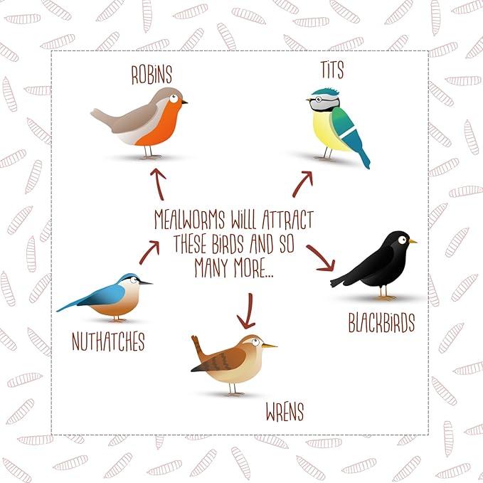 Chubby Dried Mealworms High-Protein Non-GMO Treats for Chickens, Ducks, Wild Birds & Backyard Pets