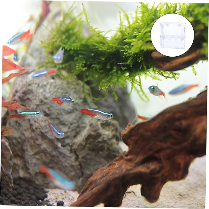 GANAZONO Breeding Tank Isolation Box Transparent Aquarium Fish Hatchery for Fry Separation and Observation Dual Chamber Design Construction