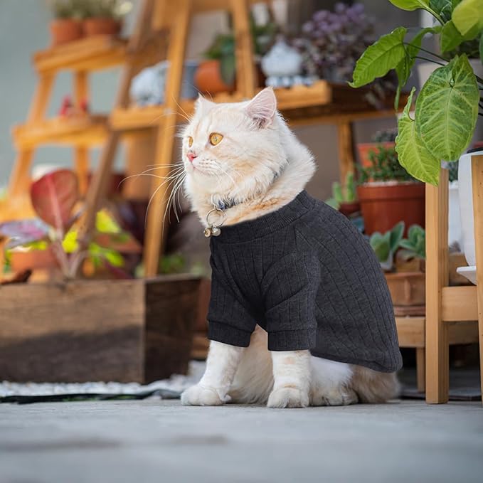 Idepet Sphynx Hairless Cats Sweater Shirt Kitten Soft Puppy Clothes Pullover Cute Cat Pajamas Jumpsuit Cotton Apparel Pet Winter Turtleneck for Cats and Teacup Chihuahua Small Dogs(Black,XXL)