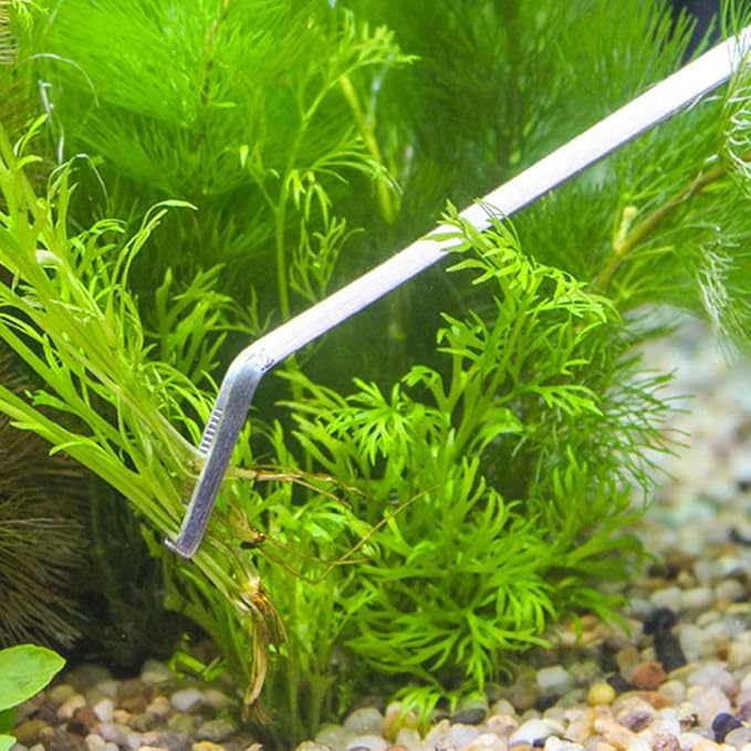 3 Pack Aquarium Tweezers Spatula Tool 3 In 1 Stainless Steel Aquatic Aquascaping Tools Set Starter Kits