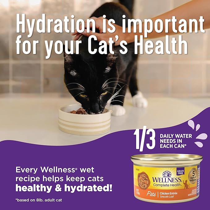 Wellness Complete Health Pate Adult Wet Cat Food, Natural, Protein-Rich, Grain Free, 5.5 Ounce, 24 Pack, (Turkey & Salmon)